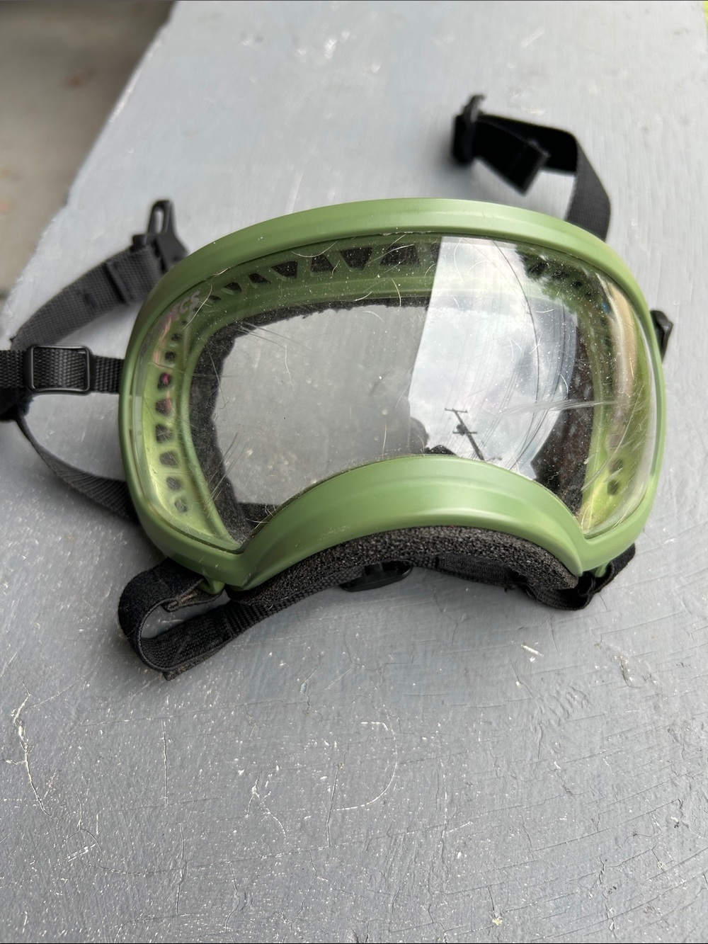 Rec specs - dog goggles
